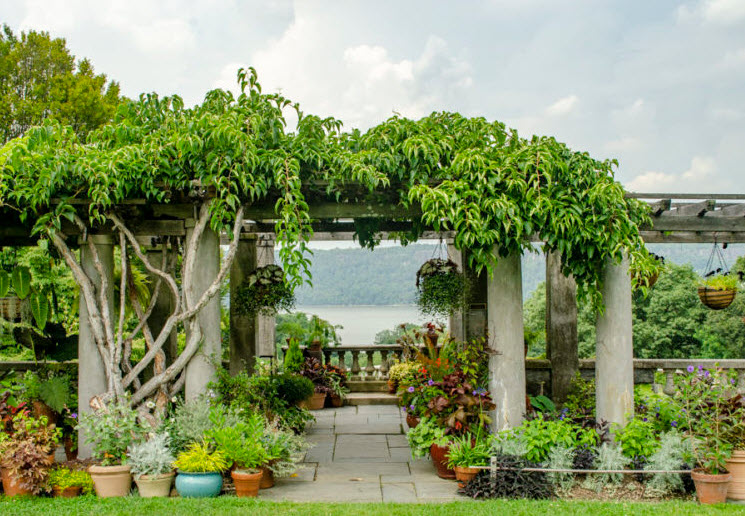 Wave Hill Public Garden & Cultural Center, United States
